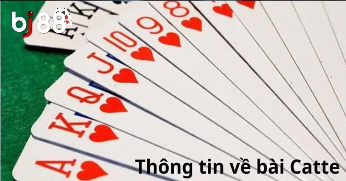 Tổng quan về bài catte