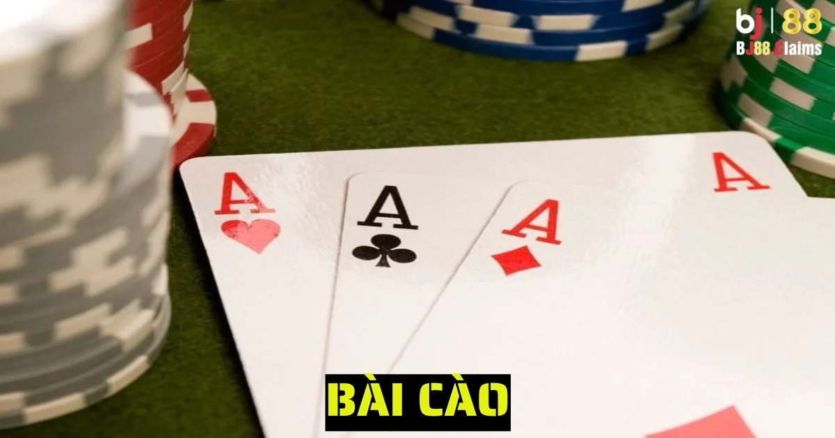 bai cao 5