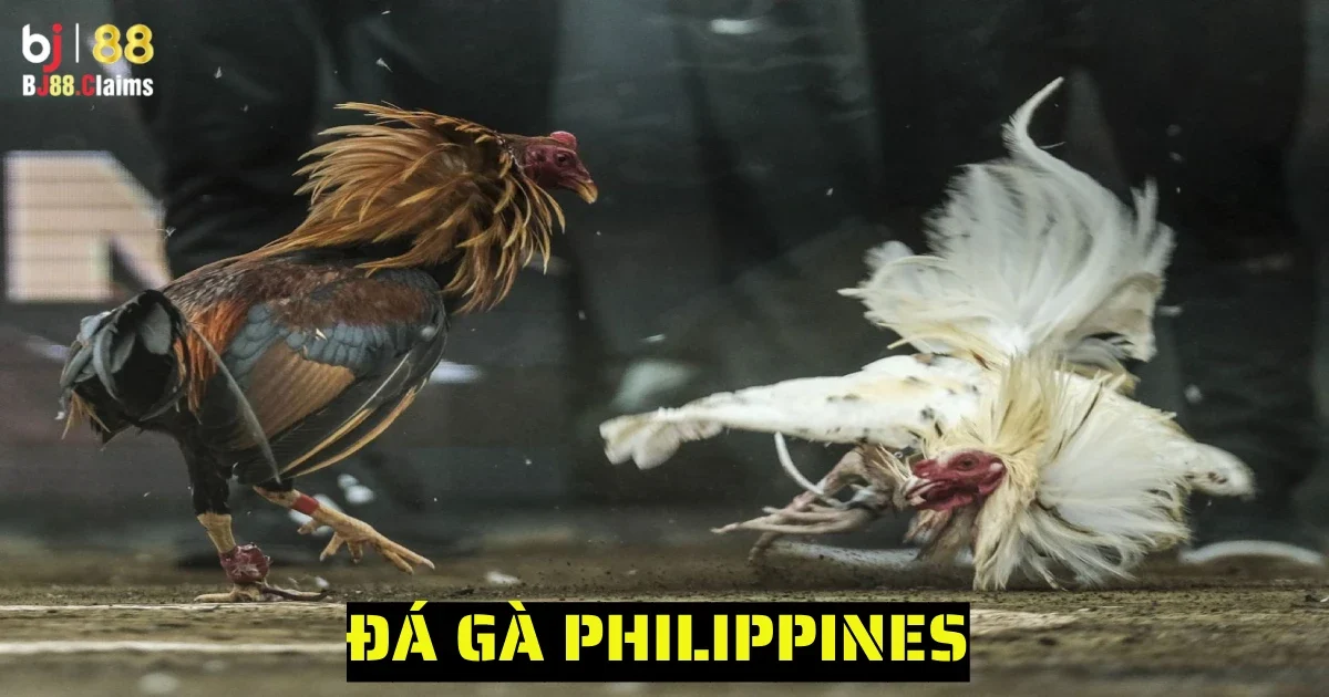 da ga philippines 6