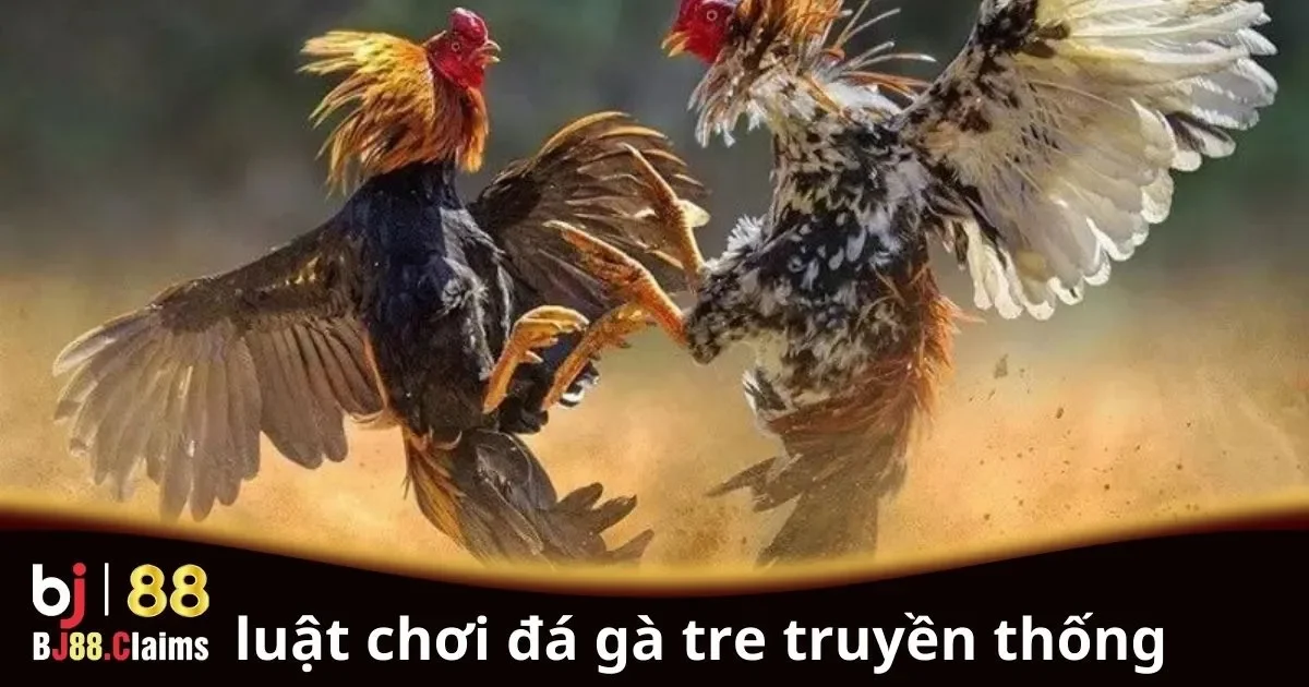 Luật chơi đá gà tre truyền thống cho người mới